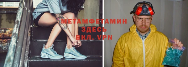 прущие грибы Каменка